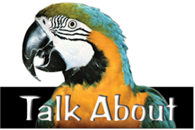 Talkabout Logo4 cropped lr